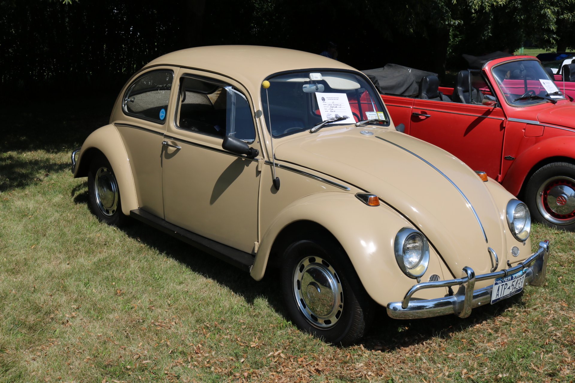 Sanborn Farm Festival and car show: Image 10