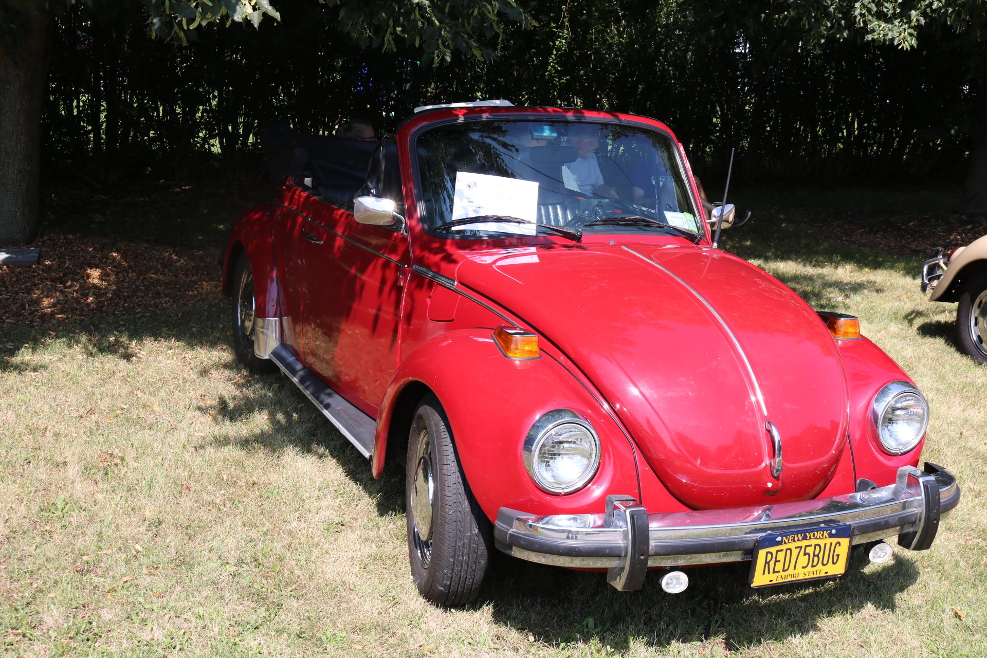 Sanborn Farm Festival and car show: Image 9